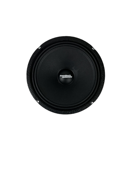 Resilient Sounds RS 10M 300w RMS 4ohm 10"speaker