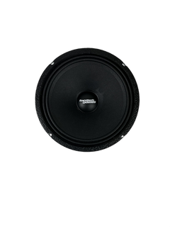 Resilient Sounds RS 10M 300w RMS 4ohm 10"speaker