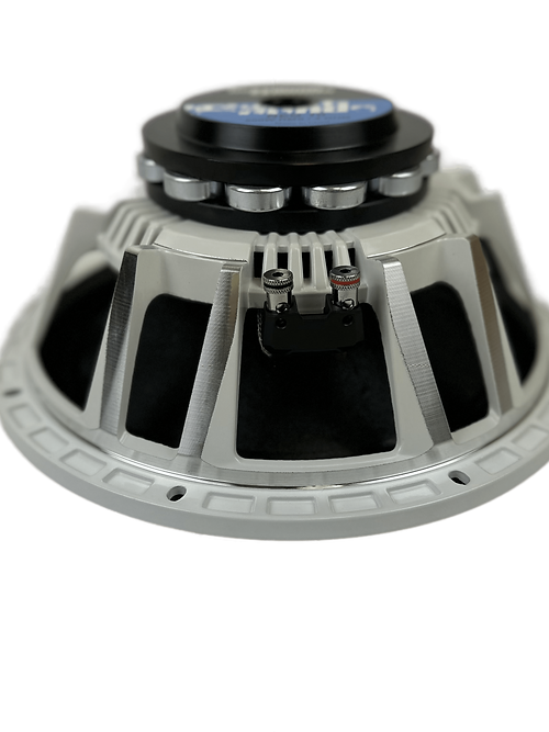 Resilient Sounds RS NEO 10 500w RMS 4ohm 10