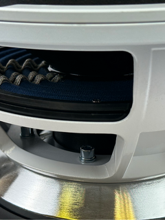 RESILIENT SOUNDS GOLD 10 V2 1500RMS WOOFER