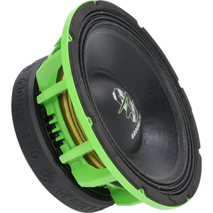 GZCW 10SPL 10″ SPL midwoofer