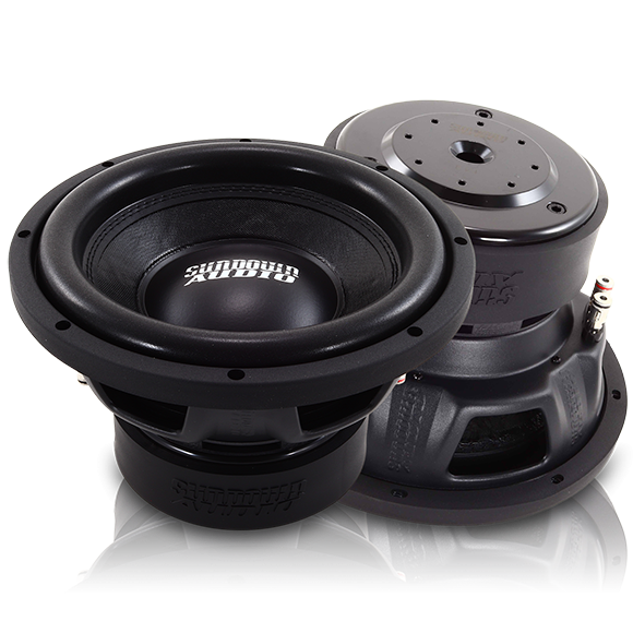 Sundown Audio Ev4 10 Inch Dual 2 ohm Subwoofer E Series(500 watts)